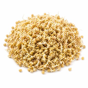 Sprouted Jowar
